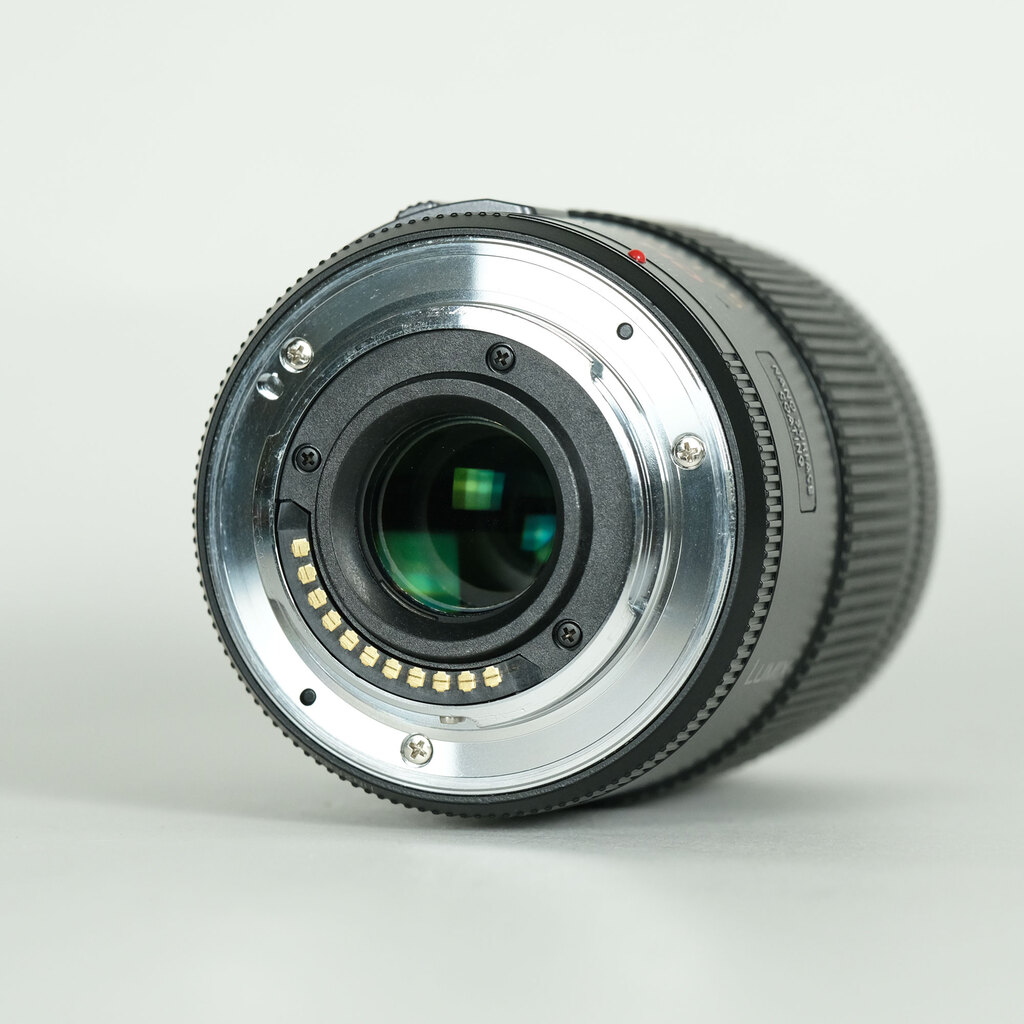 Panasonic LUMIX G X VARIO PZ 45-175mm / F4.0-5.6 ASPH. / POWER O.I.S.