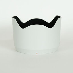 SONY FE70-200mm F4 Macro G OSS II SEL70200G2