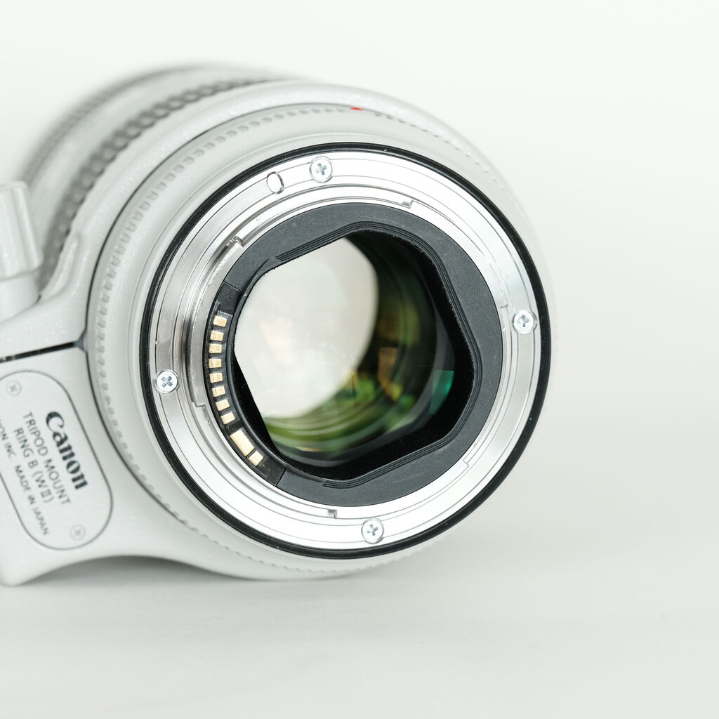 Canon EF70-200mm F2.8L IS III USM