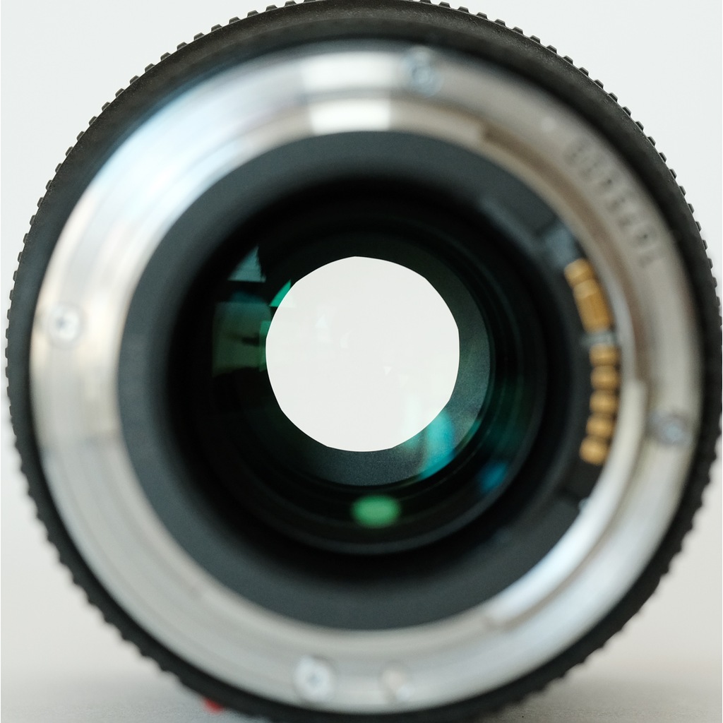 Canon EF100mm F2.8Lマクロ IS USM