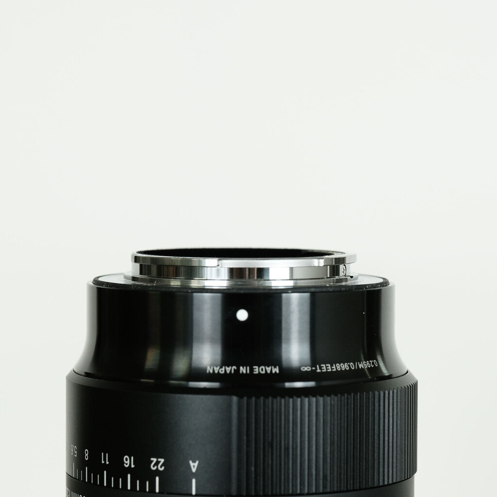 SIGMA 105mm F2.8 DG DN Macro｜Art [ソニーE用]