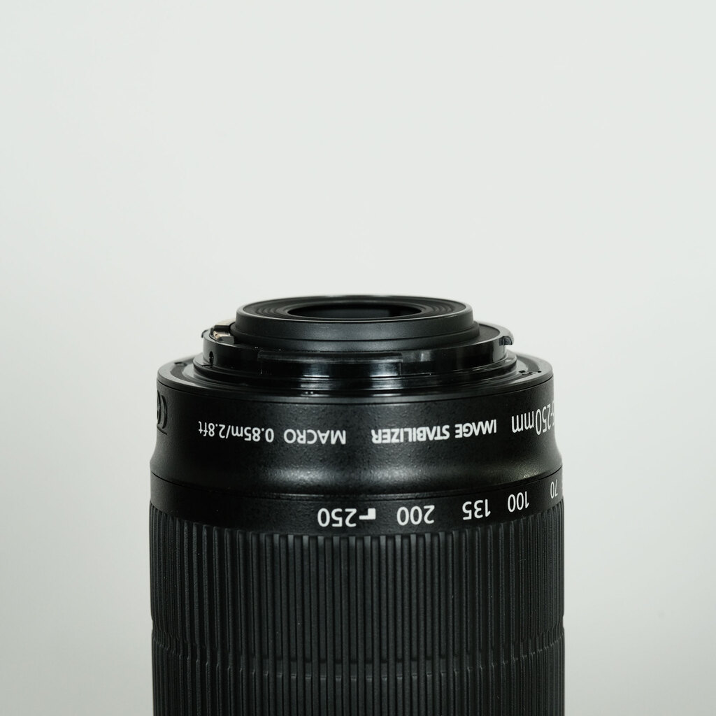 Canon EF-S55-250mm F4-5.6 IS STMの出品 | ONE SCENE（ワンシーン）