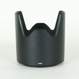 TAMRON SP 70-300mm F4-5.6 Di VC USD/Model A005E(キヤノンEF用) TAMRON SP 70-300mm F4-5.6 Di VC USD/Model A005E(キヤノンEF用)