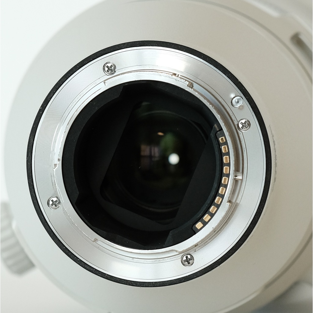 SONY FE 200-600mm F5.6-6.3 G OSS SEL200600G