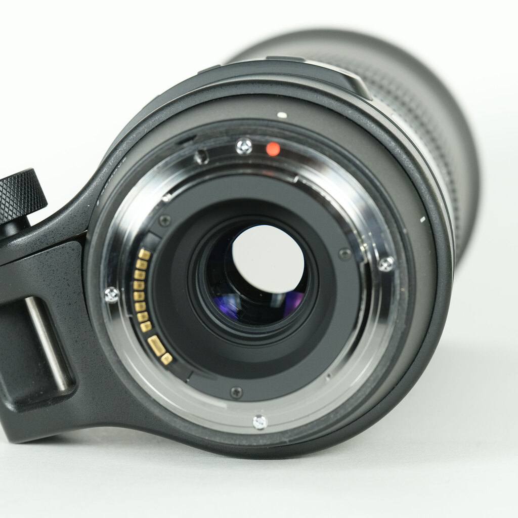 SIGMA 150-600mm F5-6.3 DG OS HSM | Contemporary [キヤノンEF用]