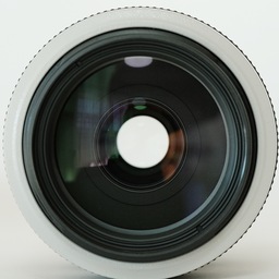 Canon EF70-300mm F4-5.6L IS USM