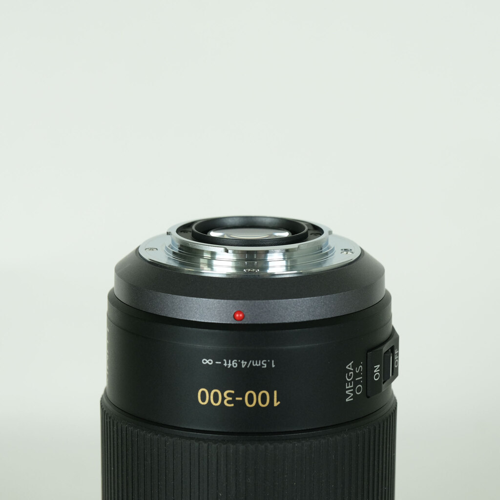 Panasonic LUMIX G VARIO 100-300mm / F4.0-5.6 / POWER O.I.S.