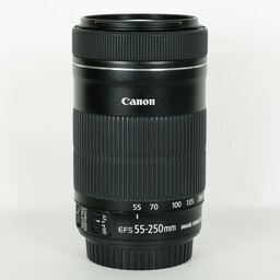 Canon EF-S55-250mm F4-5.6 IS STM