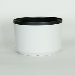 Canon RF70-200mm F2.8 L IS USM