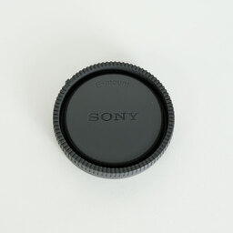 SONY Vario-Tessar T* E 16-70mm F4 ZA OSS SEL1670Z SONY Vario-Tessar T* E 16-70mm F4 ZA OSS SEL1670Z