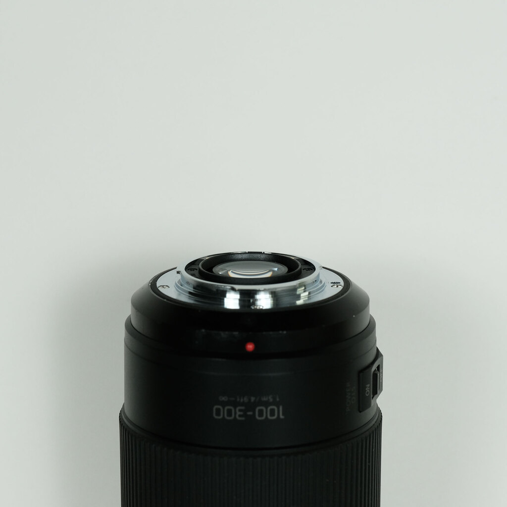 Panasonic LUMIX G VARIO 100-300mm / F4.0-5.6 II / POWER O.I.S. Panasonic LUMIX G VARIO 100-300mm / F4.0-5.6 II / POWER O.I.S.
