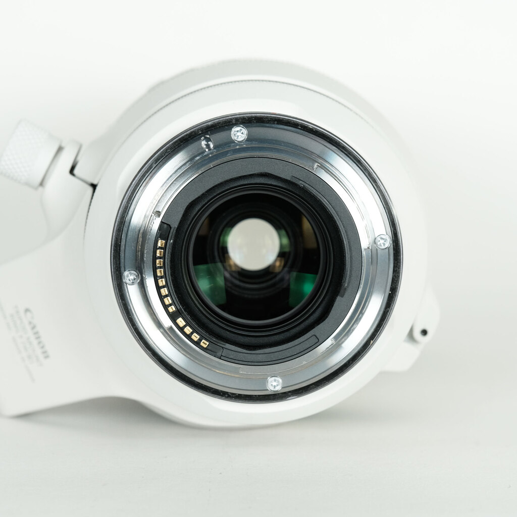 Canon RF100-500mm F4.5-7.1L IS USM