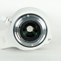 Canon RF100-500mm F4.5-7.1L IS USM