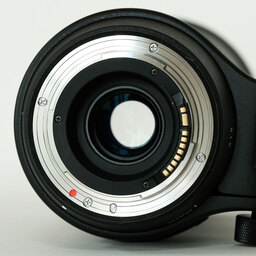 SIGMA 150-600mm F5-6.3 DG OS HSM | Contemporary [キヤノンEF用]