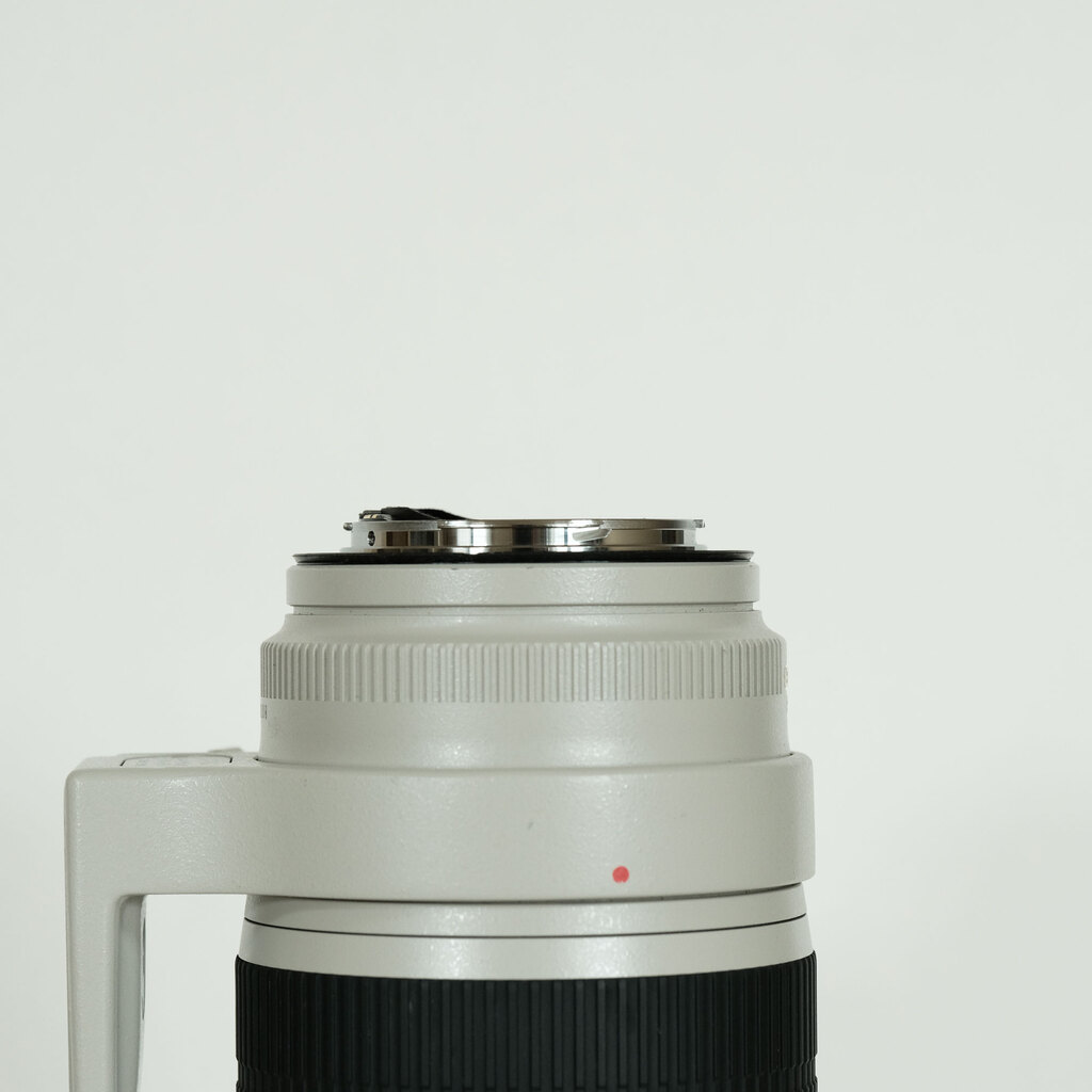 レンズ(ズーム) CANON EF70-200mm F2.8L IS USM 光を操る魔法のレンズ：Canon EF70-200mm F2.8L IS USM - 魅惑の