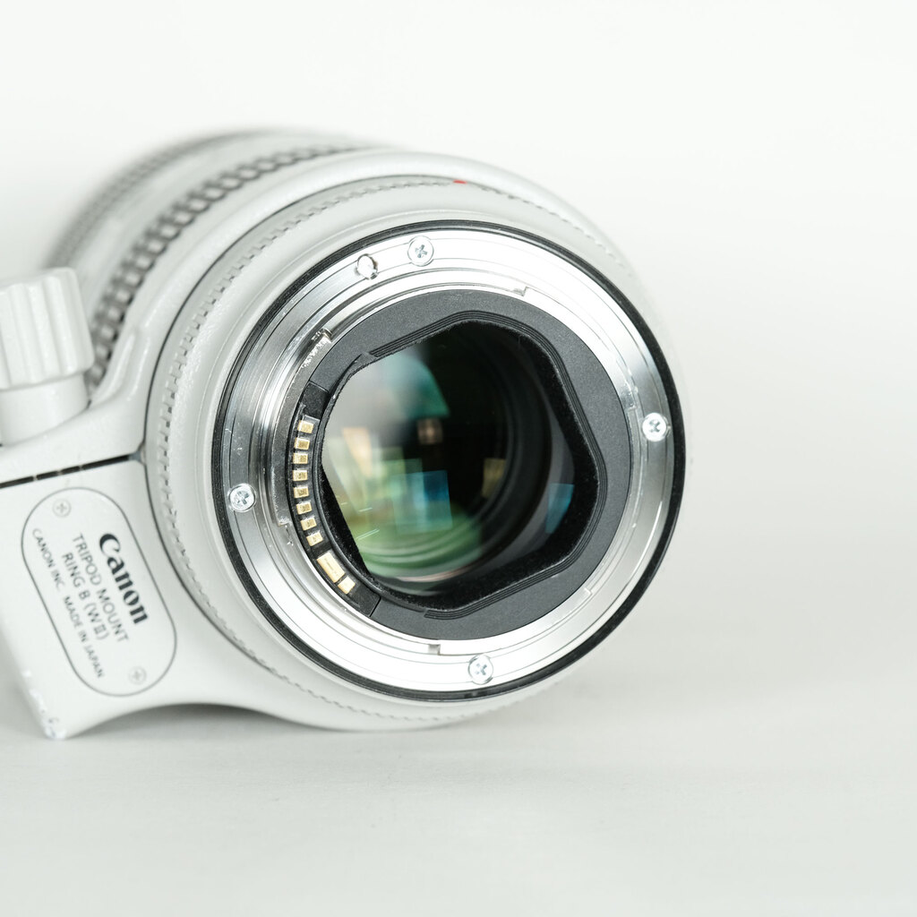 Canon EF70-200mm F2.8L IS III USM