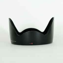 Canon EF24mm F1.4L II USM