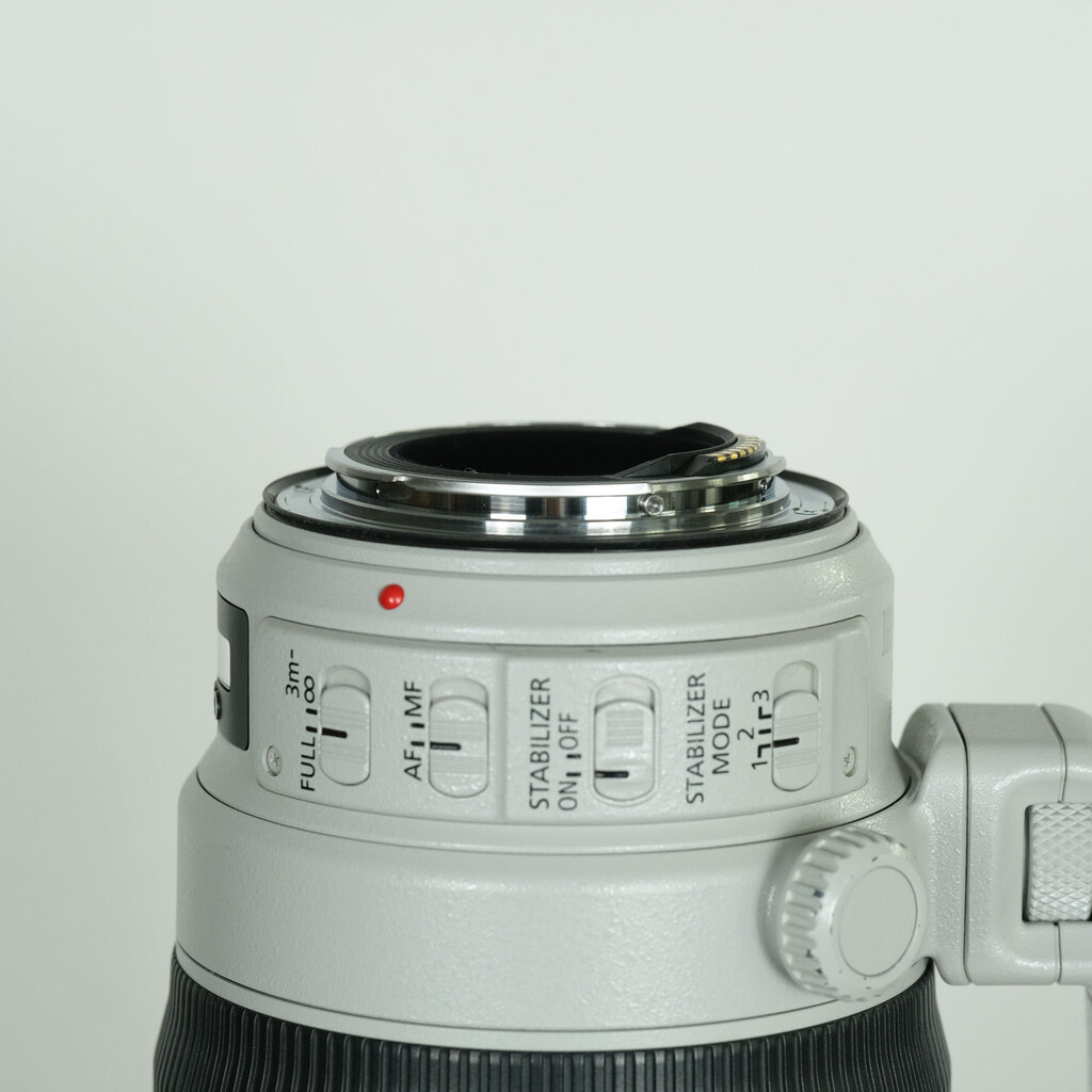 Canon EF100-400mm F4.5-5.6L IS II USM