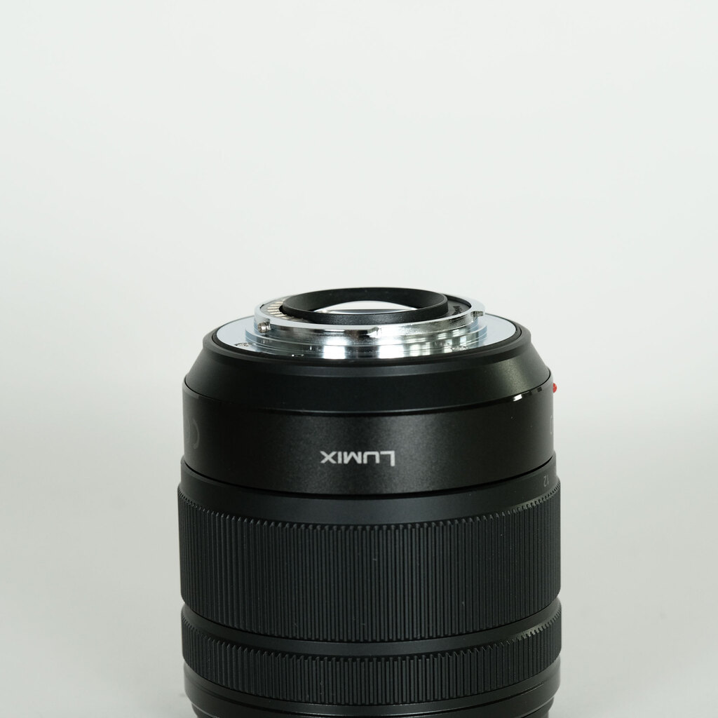 Panasonic LUMIX G VARIO 12-60mm / F3.5-5.6 ASPH. / POWER O.I.S.
