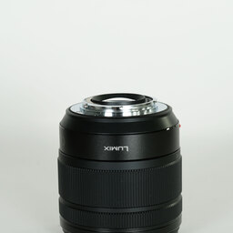 Panasonic LUMIX G VARIO 12-60mm / F3.5-5.6 ASPH. / POWER O.I.S.