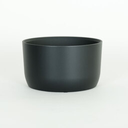 Carl Zeiss Touit 50mm F2.8 マクロ（ソニーE用）