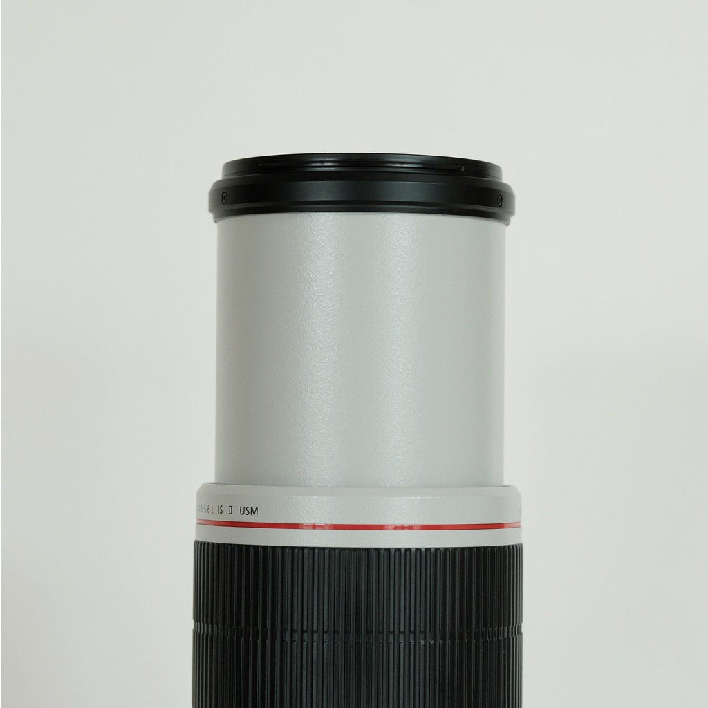 Canon EF100-400mm F4.5-5.6L IS II USM