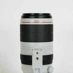 Canon EF100-400mm F4.5-5.6L IS II USM