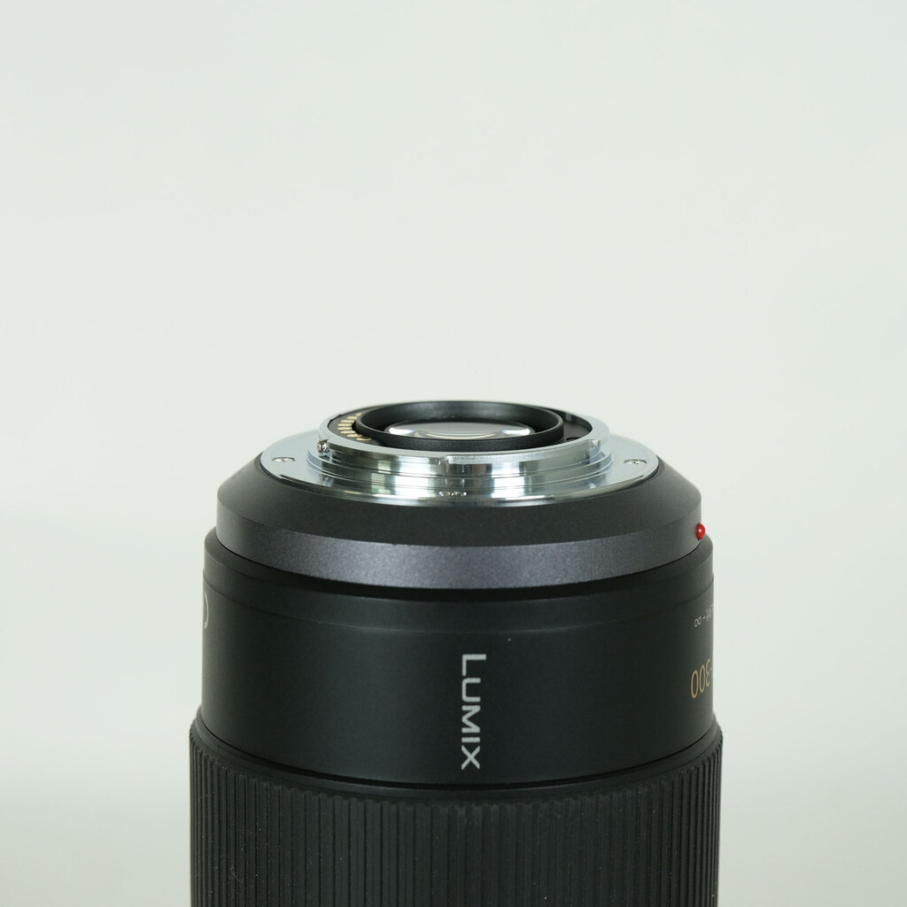 Panasonic LUMIX G VARIO 100-300mm / F4.0-5.6 / POWER O.I.S.