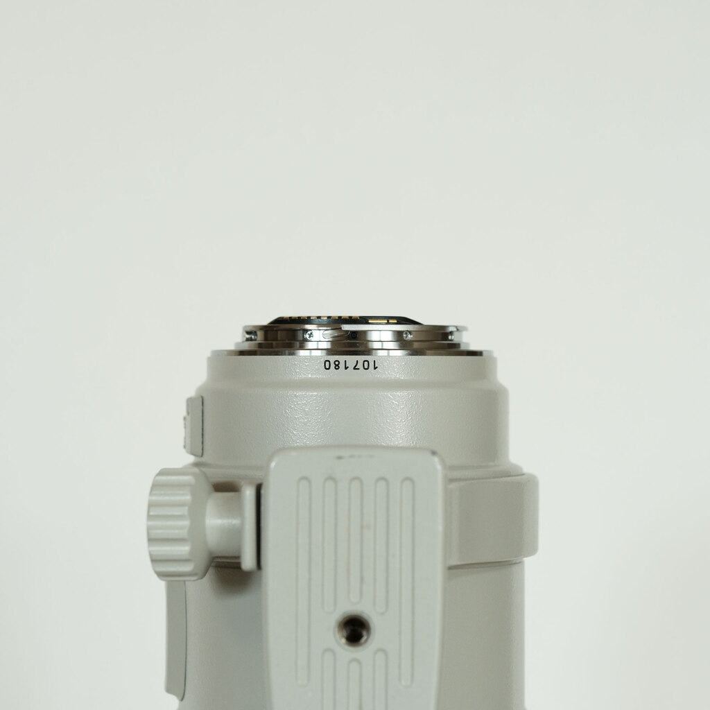 Canon 300mm F4L IS USM Canon 300mm F4L IS USM