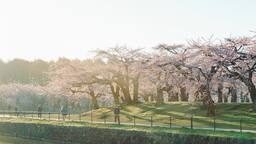 積み重ねてきた美意識を写真にのせて。 美しいと感じるものを残していく