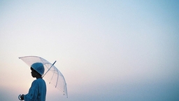 日常を写真と共に。 光が作り出す景色を写真に収めていく