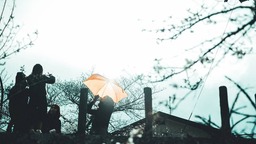 写真は生活の一部。 毎日の「色」を自分だけの日常風景として残していく 写真は生活の一部。 毎日の「色」を自分だけの日常風景として残していく