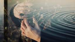 直感・閃き・感動を大切に。 多重露光で日常の美しい光景を重ねていく