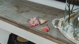 自分の主張や拘りが映り込まないように。 被写体との距離感や空気感を大切にしていく