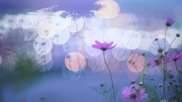 見慣れた景色を宝物に。 オールドレンズの先に広がる美しき世界を切り取っていく 見慣れた景色を宝物に。 オールドレンズの先に広がる美しき世界を切り取っていく