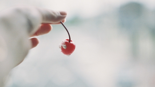 自然体で撮りたいと思った瞬間を。 半世紀以上前のカメラで表現する私の見る世界