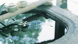 光や音までが伝わるように。 心の琴線に触れた瞬間を、フィルムの「穏やかさ」を通じて