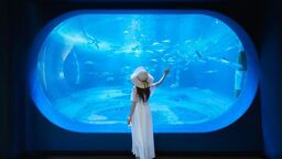 誰かの心を動かす写真を。 二度とない瞬間、まだ見ぬ1枚を追い求めていく 誰かの心を動かす写真を。 二度とない瞬間、まだ見ぬ1枚を追い求めていく