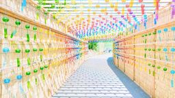 自分だけのパステルカラーに変えて。 可愛らしく彩り溢れる景色を多くの人に伝えていきたい 自分だけのパステルカラーに変えて。 可愛らしく彩り溢れる景色を多くの人に伝えていきたい