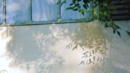 いつも見ている世界がこんなにも美しい。 写真を通じて「日常のすぐ隣」のファンタジーを再発見していく