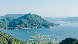 撮りたいものをどう撮るか。 自分の心がポジティブに動いた瞬間を残していく 撮りたいものをどう撮るか。 自分の心がポジティブに動いた瞬間を残していく