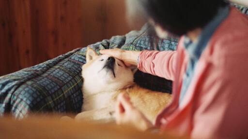 ひっそりと、力強く存在するものに惹かれて。 その存在を写真で少しだけ浮かび上がらせていく